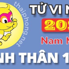 Tử Vi Năm 2025 Tuổi Canh Thân 1980 Nam Mạng