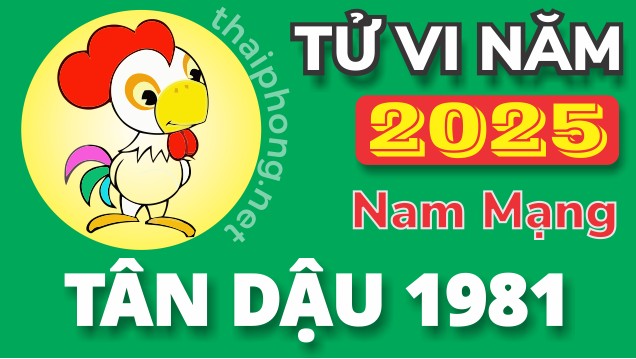 Tử Vi Năm 2025 Tuổi Tân Dậu 1981 Nam Mạng