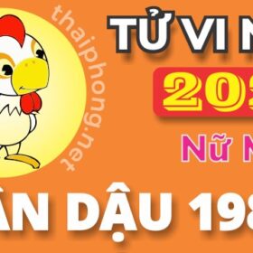 Tử Vi Năm 2025 Tuổi Tân Dậu 1981 Nữ Mạng