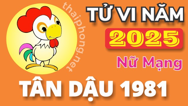 Tử Vi Năm 2025 Tuổi Tân Dậu 1981 Nữ Mạng