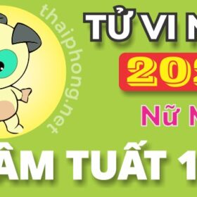 Tử Vi Năm 2025 Tuổi Nhâm Tuất 1982 Nữ Mạng