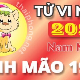 Tử Vi Năm 2025 Tuổi Đinh Mão 1987 Nam Mạng