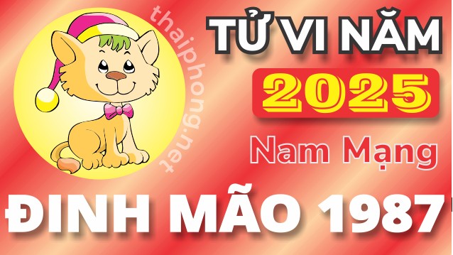 Tử Vi Năm 2025 Tuổi Đinh Mão 1987 Nam Mạng