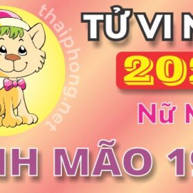 Tử Vi Năm 2025 Tuổi Đinh Mão 1987 Nữ Mạng