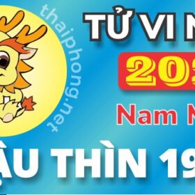 Tử Vi Năm 2025 Tuổi Mậu Thìn 1988 Nam Mạng