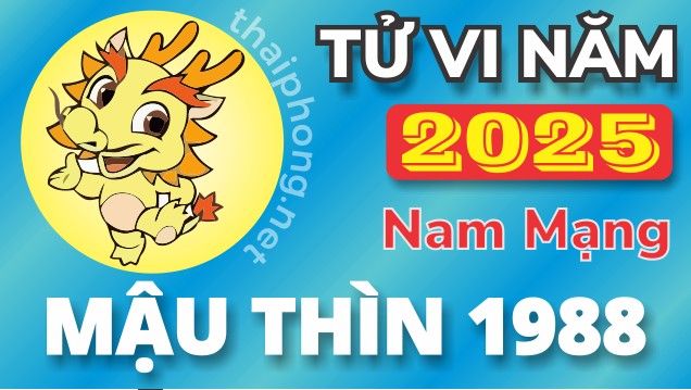 Tử Vi Năm 2025 Tuổi Mậu Thìn 1988 Nam Mạng