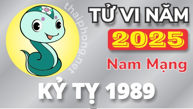 Tử Vi Năm 2025 Tuổi Kỷ Tỵ 1989 Nam Mạng