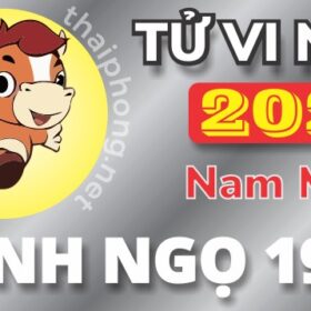 Tử Vi Năm 2025 Tuổi Canh Ngọ 1990 Nam Mạng