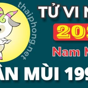 Tử Vi Năm 2025 Tuổi Tân Mùi 1991 Nam Mạng