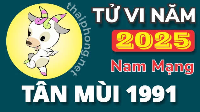 Tử Vi Năm 2025 Tuổi Tân Mùi 1991 Nam Mạng