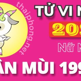 Tử Vi Năm 2025 Tuổi Tân Mùi 1991 Nữ Mạng