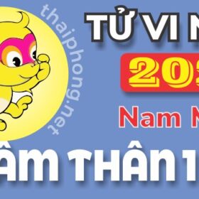 Tử Vi Năm 2025 Tuổi Nhâm Thân 1992 Nam Mạng