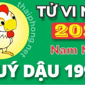 Tử Vi Năm 2025 Tuổi Quý Dậu 1993 Nam Mạng