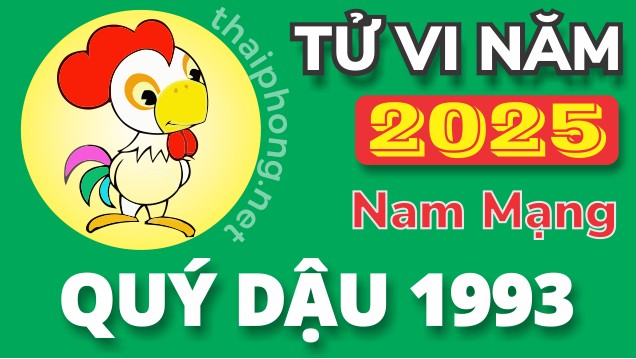 Tử Vi Năm 2025 Tuổi Quý Dậu 1993 Nam Mạng