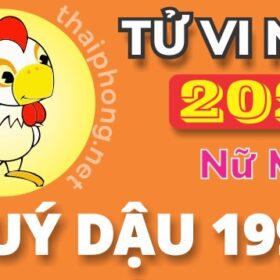 Tử Vi Năm 2025 Tuổi Quý Dậu 1993 Nữ Mạng