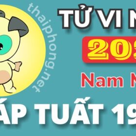 Tử Vi Năm 2025 Tuổi Giáp Tuất 1994 Nam Mạng