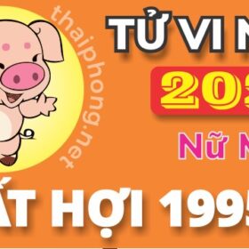 Tử Vi Năm 2025 Tuổi Ất Hợi 1995 Nữ Mạng