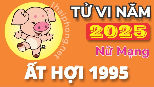 Tử Vi Năm 2025 Tuổi Ất Hợi 1995 Nữ Mạng