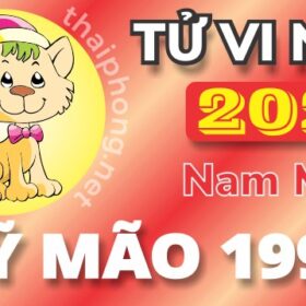 Tử Vi Năm 2025 Tuổi Kỷ Mão 1999 Nam Mạng