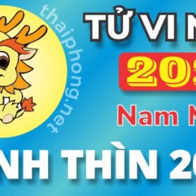 Tử Vi Năm 2025 Tuổi Canh Thìn 2000 Nam Mạng