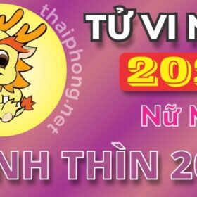 Tử Vi Năm 2025 Tuổi Canh Thìn 2000 Nữ Mạng