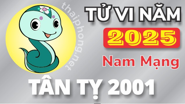 Tử Vi Năm 2025 Tuổi Tân Tỵ 2001 Nam Mạng