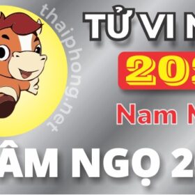 Tử Vi Năm 2025 Tuổi Nhâm Ngọ 2002 Nam Mạng