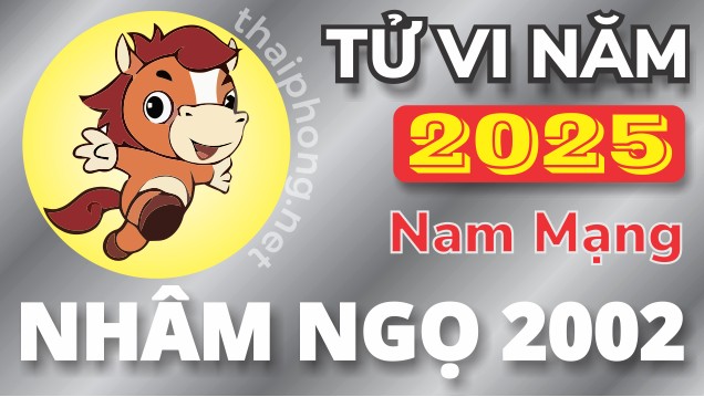 Tử Vi Năm 2025 Tuổi Nhâm Ngọ 2002 Nam Mạng