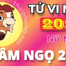 Tử Vi Năm 2025 Tuổi Nhâm Ngọ 2002 Nữ Mạng