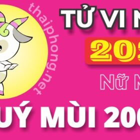 Tử Vi Năm 2025 Tuổi Quý Mùi 2003 Nữ Mạng