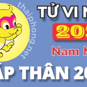 Tử Vi Năm 2025 Tuổi Giáp Thân 2004 Nam Mạng