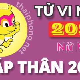 Tử Vi Năm 2025 Tuổi Giáp Thân 2004 Nữ Mạng