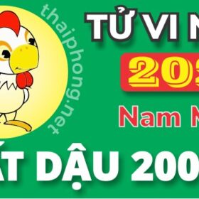 Tử Vi Năm 2025 Tuổi Ất Dậu 2005 Nam Mạng