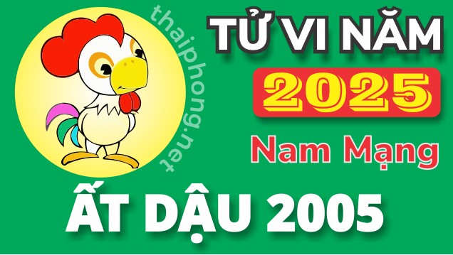 Tử Vi Năm 2025 Tuổi Ất Dậu 2005 Nam Mạng